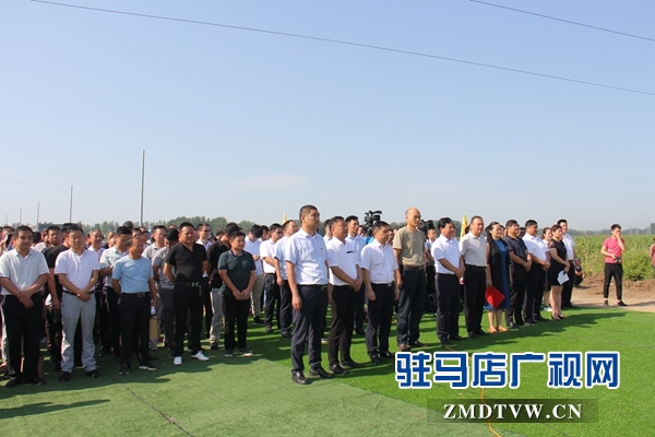 河南蔡洪坊酒：坚守“粮心”让中国白酒的质量看得见