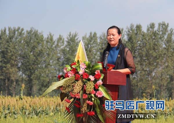 河南蔡洪坊酒：坚守“粮心”让中国白酒的质量看得见