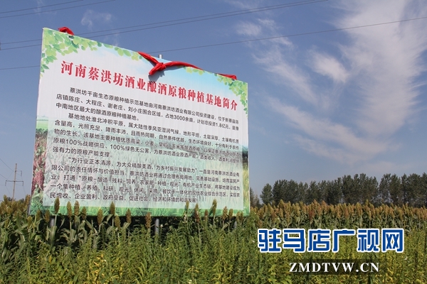 河南蔡洪坊酒：坚守“粮心”让中国白酒的质量看得见