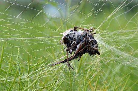 1567411585294101.jpg 微信图片_20190902160412.jpg