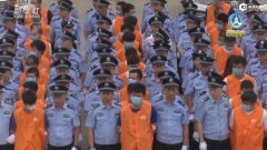 受骗一次平均损失18万！“杀猪盘”诈骗大案调查