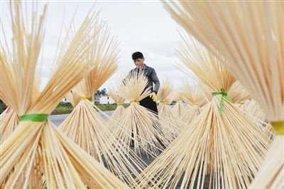 “一村一品”示范村镇带头人培训班在驻马店市开班