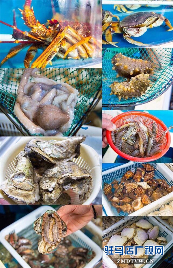 欢乐爱家超市与大商新玛特强强联合倾力打造“海鲜船” 让你不出天中一次吃遍199种海鲜 