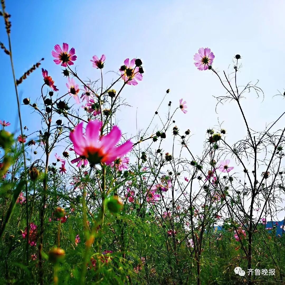 微信图片_20190910084315.jpg