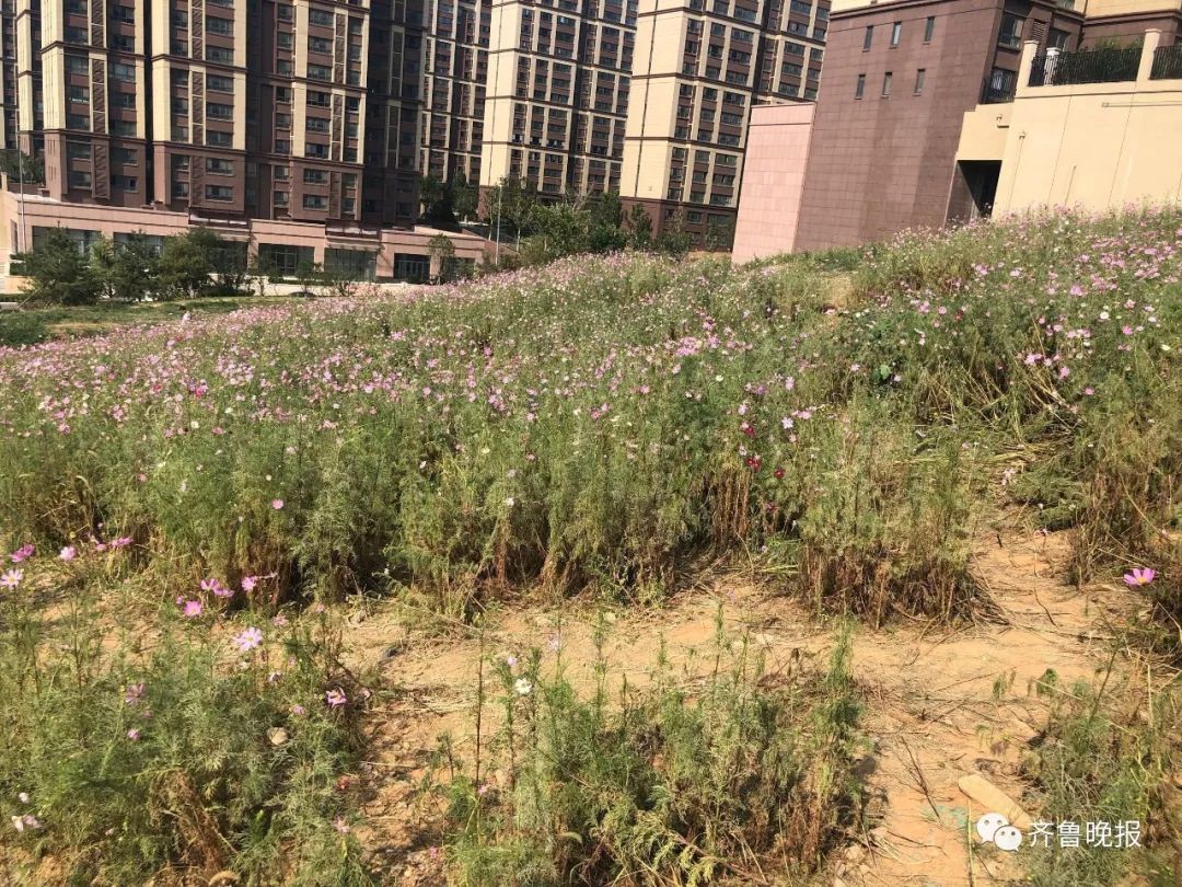 微信图片_20190910084329.jpg