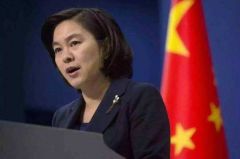 华春莹：德外长与黄之锋接触意欲何为？