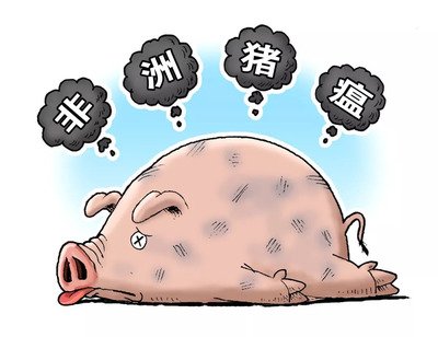 中国农科院：非洲猪瘟疫苗即将进入临床试验阶段