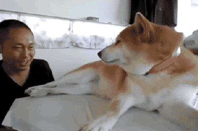 微信图片_20190912170715.gif