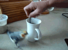 微信图片_20190912170727.gif