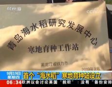 高寒的东北也要种“海水稻”了！