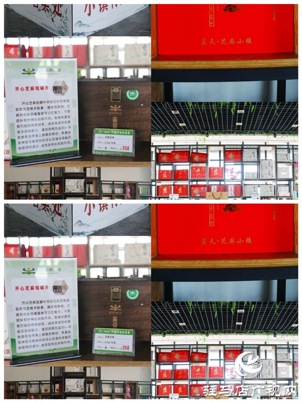 2019年“丰收中原，老家河南”中国农民丰收节活动在平舆县蓝天芝麻小镇华美绽放