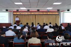 SOD葡萄示范基地落户驻马店 产业技术助力脱贫攻坚