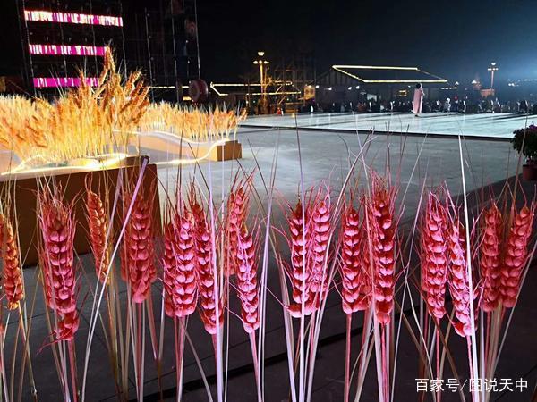 2019中国农民电影节举行专家研讨会