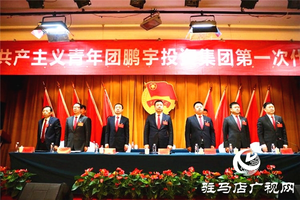 共青团鹏宇投资集团第一次代表大会隆重召开 鹏宇集团党建工作翻开新篇章
