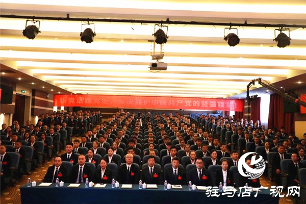 共青团鹏宇投资集团第一次代表大会隆重召开 鹏宇集团党建工作翻开新篇章