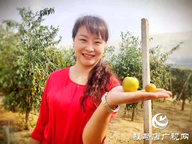 驻马店天中生态农业：努力为天中人民打造放心的“菜篮子”