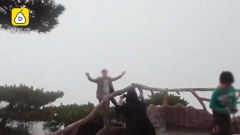 黄山游客爬上悬崖松树拍照 路过游客：不要命的操作