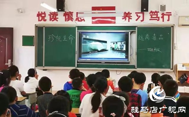 驻马店实验小学开展“珍爱生命远离毒品”主题教育活动