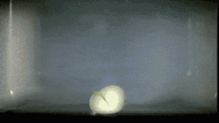 微信图片_20191014083308.gif
