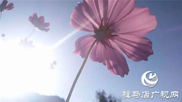 “龚玉”养肤品牌深耕市场将给您带来意想不到的财富与惊喜