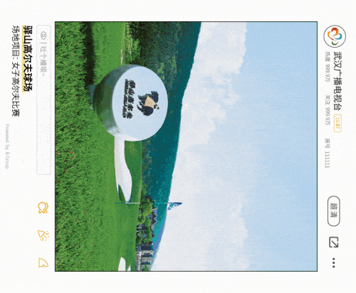 49.gif