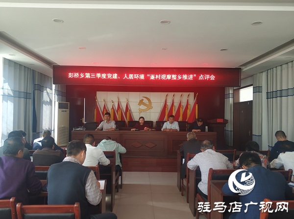 正阳县彭桥乡开展第三季度党建和人居环境逐村观摩活动