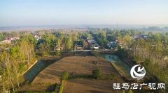 上蔡县杨屯乡党建引领农村人居环境整治提升