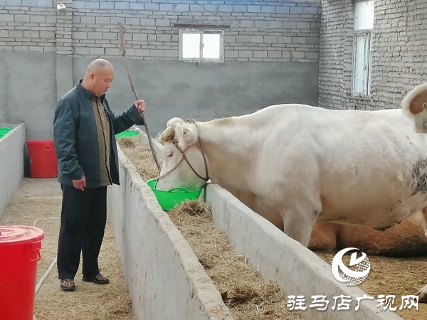 ‘倔’人郑治成：认定养殖不放松