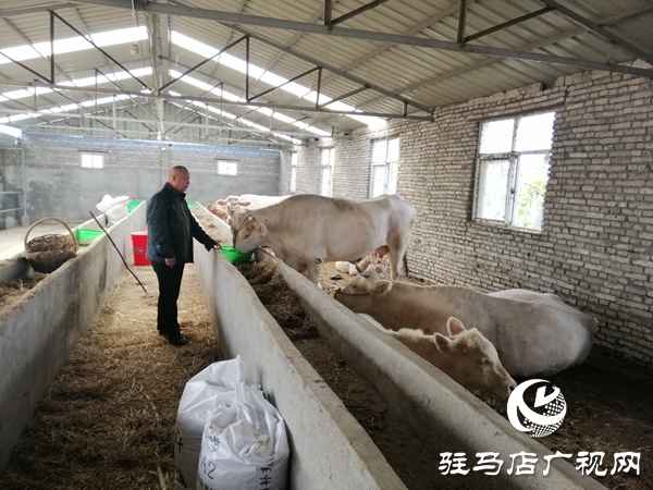 ‘倔’人郑治成：认定养殖不放松