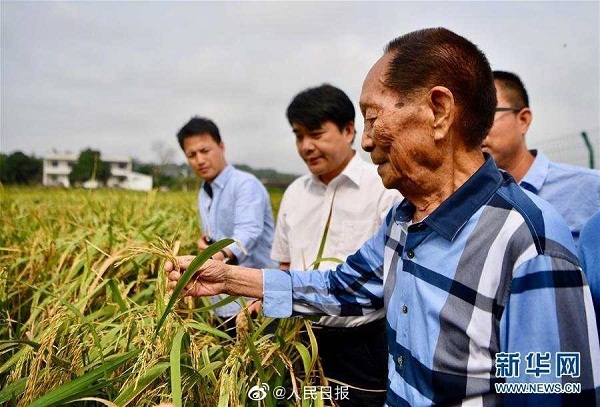 人民日报谈袁隆平线上线下都火了：追逐心中最亮的星