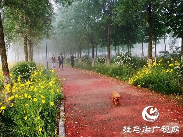 正阳：清水湾里生态美