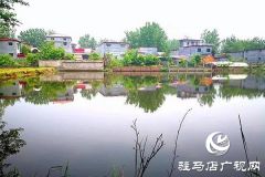 上蔡百尺乡：频频出实招，村村颜值高