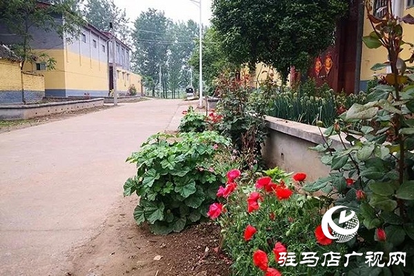 上蔡百尺乡：频频出实招，村村颜值高