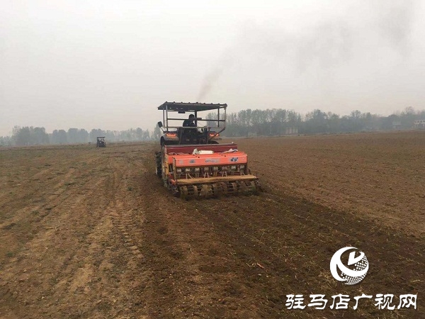 泌阳县小麦播种陆续完成