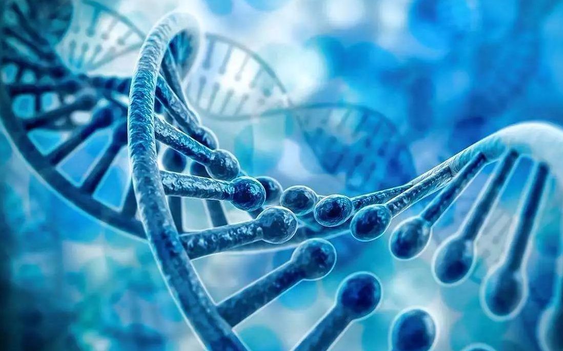 生物安全法草案： 拟对生物技术谬用等行为作出处罚