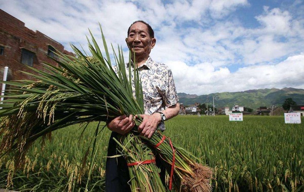袁隆平：我的两个梦