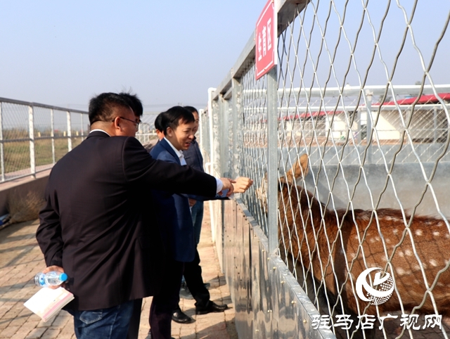 龟鹿药业集团与中国农科院特产研究所签署梅花鹿驯养技术合作协议