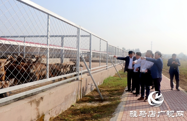 龟鹿药业集团与中国农科院特产研究所签署梅花鹿驯养技术合作协议