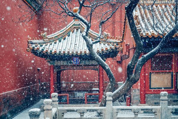 1572224288421727.jpg 微信图片_20191028085715.jpg