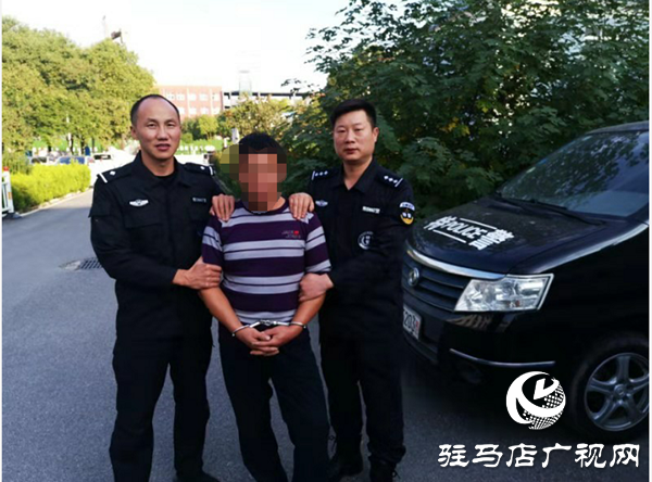 偷一只小狗 换10天拘留
