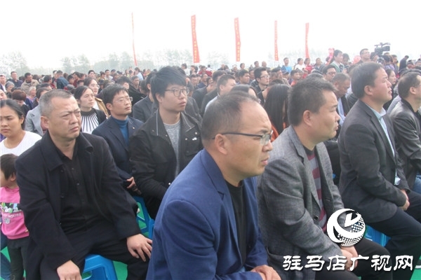 新蔡县关津乡首届菊花节开幕