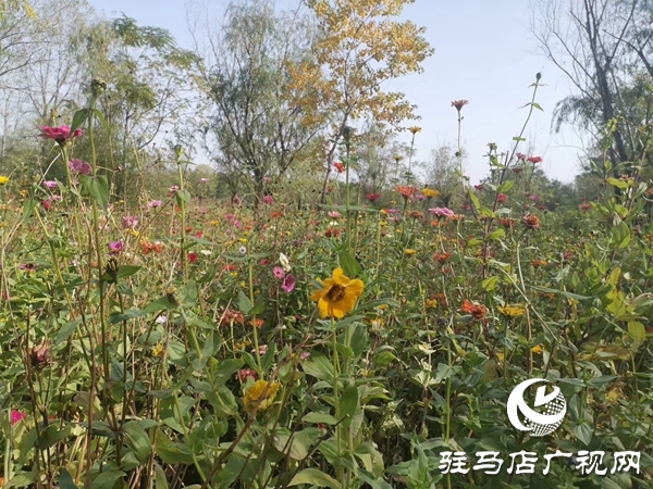 秋日嵖岈山 美景如画