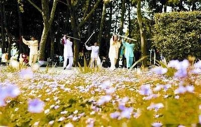 重阳文化园里真热闹