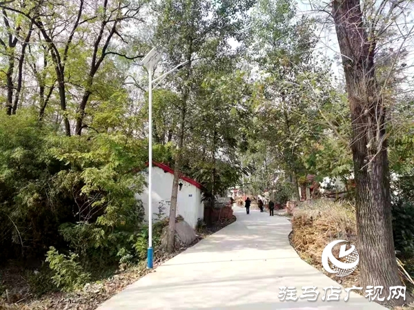 捐资修路安路灯 张占立善举暖乡邻