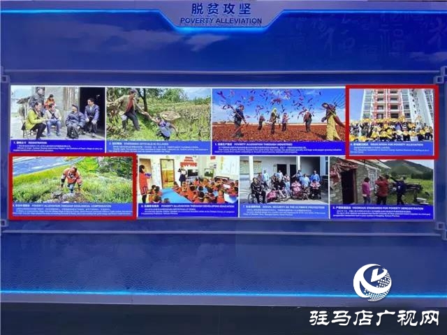 第二届进博会分享上蔡“重残托养”经验