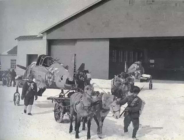 1573435679362402.jpg 微信图片_20191111092424.jpg