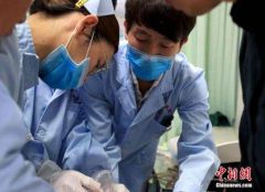 海南东方通报43学生误食野果中毒：病情平稳可控