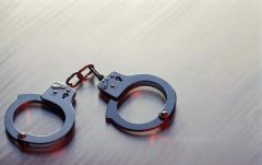 “闪电退款”薅电商平台羊毛 在校学生退款不退货获刑