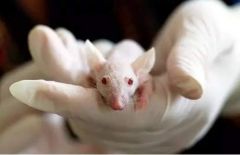 国家卫健委已派国家级专家赴内蒙古查明鼠疫传染源