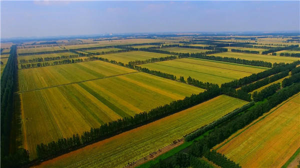 驻马店组织收听收看全省实施国土绿化提速行动建设森林河南推进会